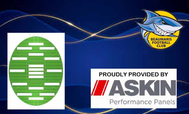 PRELIM. FINAL TEAM SELECTION